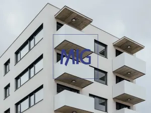 Pronájem bytu 2+kk, Brno, Cejl, 48 m2