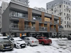 Pronájem bytu 1+kk, Liberec, U Nisy, 38 m2