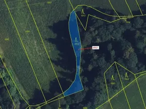 Dražba lesa, Spešov, 500 m2