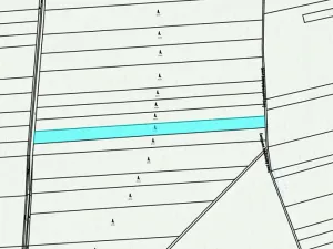 Dražba lesa, Hranice, 4805 m2