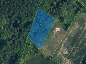 Dražba lesa, Jenišovice, 2305 m2