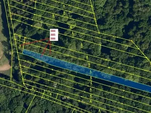 Dražba lesa, Hradčany-Kobeřice, 3483 m2