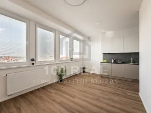 Pronájem bytu 1+kk, Hradec Králové, Průmyslová, 29 m2