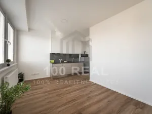 Pronájem bytu 1+kk, Hradec Králové, Průmyslová, 29 m2