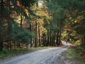 Prodej bytu 3+kk, Černý Důl, 77 m2