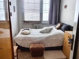 Prodej bytu 2+kk, Čáslav, R. Těsnohlídka, 42 m2