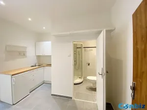 Pronájem bytu 1+1, Praha - Karlín, Peckova, 29 m2