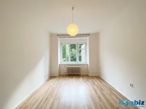 Pronájem bytu 1+1, Praha - Karlín, Peckova, 29 m2