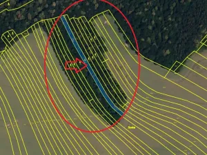 Prodej lesa, Citonice, 1777 m2