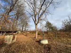 Pronájem rodinného domu, Velký Újezd, Za Obecním lesem, 80 m2