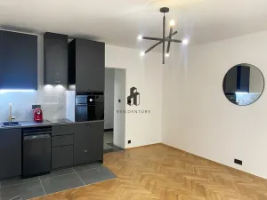 Pronájem bytu 1+kk, Praha - Vinohrady, Řipská, 30 m2