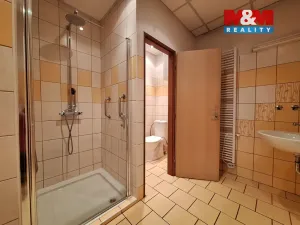 Pronájem bytu 1+kk, Chomutov, Sokolská, 28 m2