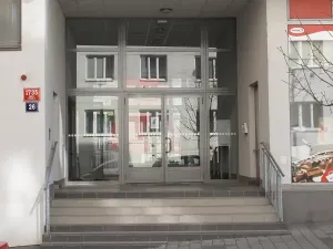 Pronájem garážového stání, Praha - Nusle, V Horkách, 14 m2