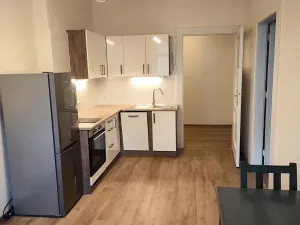 Pronájem bytu 1+1, Praha - Vinohrady, Písecká, 50 m2