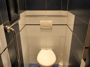 Pronájem bytu 1+1, Praha - Vinohrady, Písecká, 50 m2