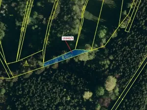 Dražba lesa, Hovězí, 312 m2