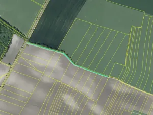 Dražba pole, Chotěšov, 7368 m2