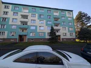 Pronájem bytu 1+kk, Sokolov, Mičurinova, 21 m2
