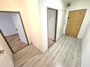 Pronájem bytu 2+1, Bílina, Aléská, 49 m2