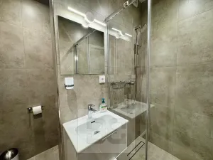 Pronájem bytu 1+kk, Zlín, Ševcovská, 30 m2