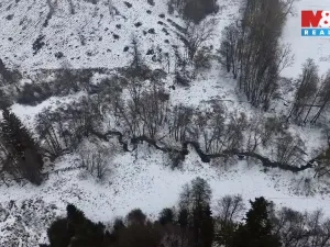 Prodej rybníku, Dolní Hořice - Pořín, 8552 m2