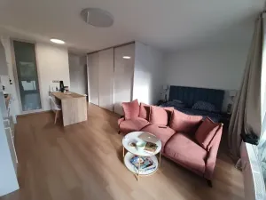 Pronájem bytu 1+kk, Jihlava, U Cihelny, 40 m2