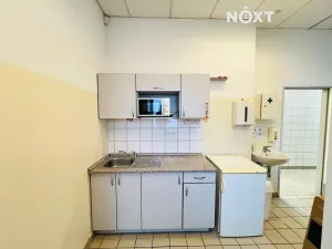 Pronájem obchodního prostoru, České Budějovice, Novohradská, 150 m2