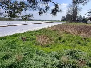 Prodej pozemku pro bydlení, Sadská, 1267 m2