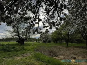 Prodej pozemku pro bydlení, Bílé Poličany, 2980 m2