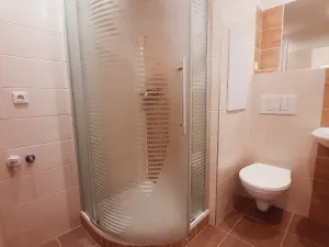 Pronájem bytu 2+kk, Litoměřice, Revoluční, 42 m2