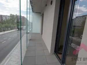 Pronájem bytu 2+kk, Praha - Žižkov, Hartigova, 67 m2