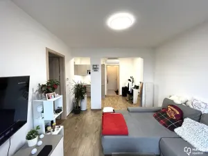 Pronájem bytu 2+kk, Olomouc, Andělská, 49 m2