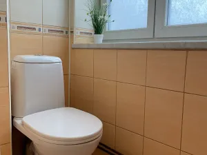 Pronájem bytu 1+1, Nový Jičín, Komenského, 32 m2