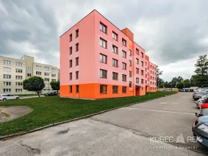Pronájem bytu 1+1, Nová Včelnice, Na Hliněnce, 43 m2