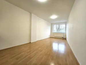 Pronájem bytu 1+kk, Brno, Svitavské nábřeží, 28 m2