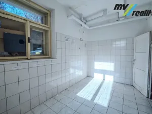 Prodej výrobních prostor, Hořice, Riegrova, 720 m2