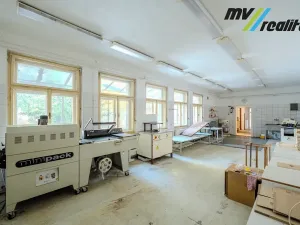 Prodej výrobních prostor, Hořice, Riegrova, 720 m2
