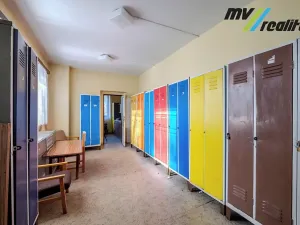 Prodej výrobních prostor, Hořice, Riegrova, 720 m2