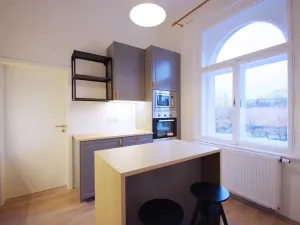 Pronájem bytu 1+1, Praha - Vinohrady, Polská, 42 m2