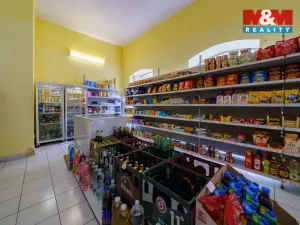 Prodej obchodního prostoru, Cheb, Kamenná, 59 m2