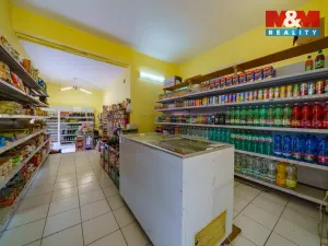 Prodej obchodního prostoru, Cheb, Kamenná, 59 m2