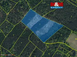 Prodej lesa, Jankovice - Kozašice, 24923 m2