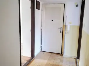Pronájem bytu 3+1, Hodonín, 56 m2