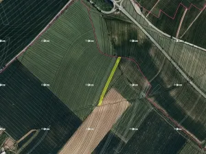 Prodej podílu pole, Boršice, 8735 m2
