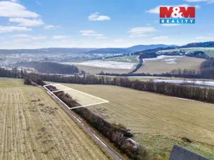 Prodej louky, Jince, 2492 m2