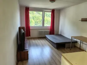 Prodej bytu 2+kk, Teplice, Písečná, 44 m2