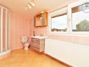 Prodej rodinného domu, Letkov, Staroplzenecká, 200 m2