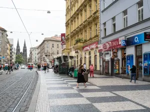 Prodej bytu 2+1, Praha - Vinohrady, Lublaňská, 64 m2