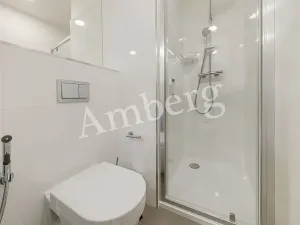 Pronájem bytu 1+kk, Praha - Vinohrady, Perucká, 26 m2