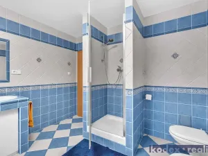 Prodej rodinného domu, Vysoká nad Labem, 263 m2